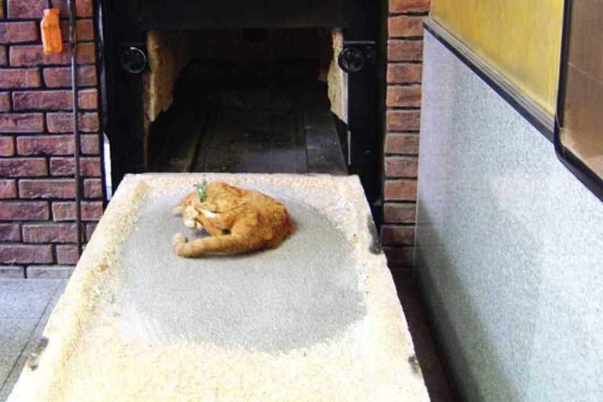 Story image