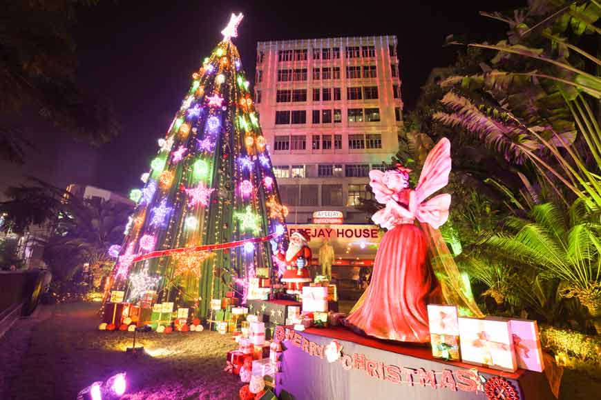 Where can you see Kolkata’s tallest Christmas tree?