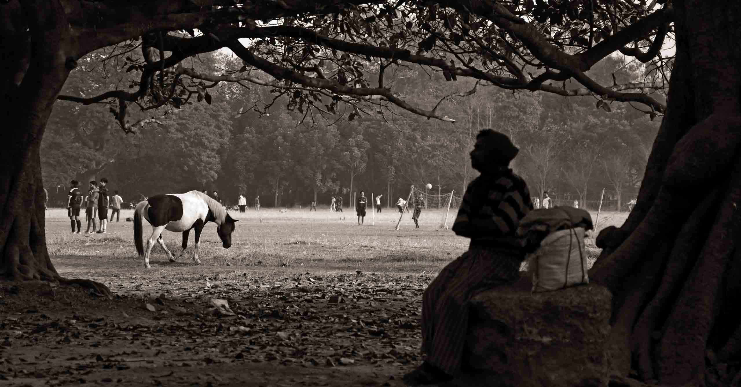 Maidan Vignettes