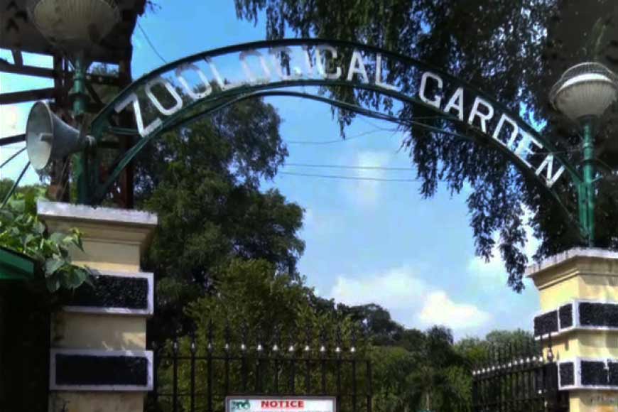 The Forest Department of West Bengal to launch modern vet clinic for wild animals - GetBengal story