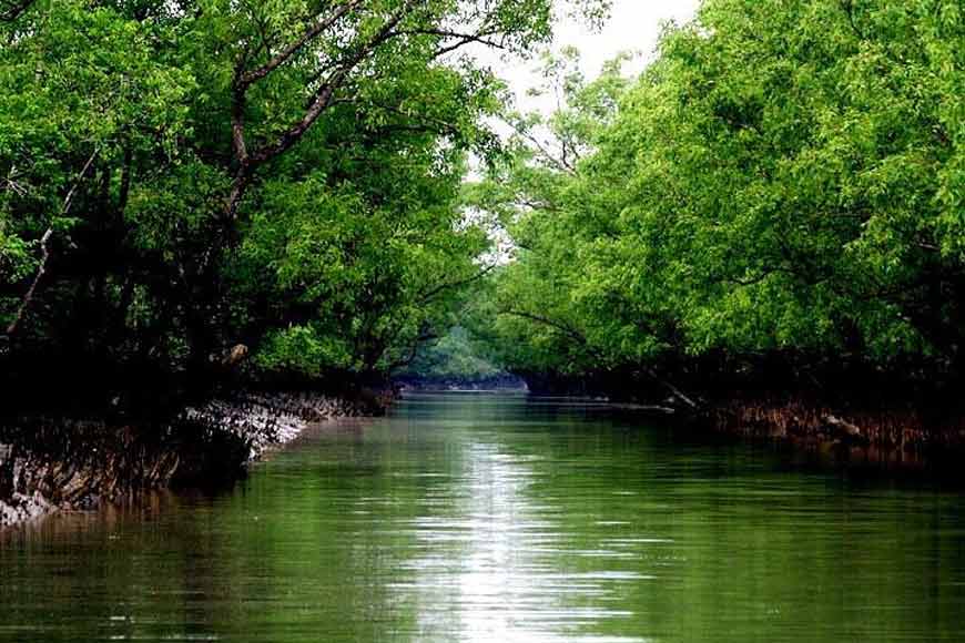 Ancient monuments unearthed near the Sundarbans of Bangladesh