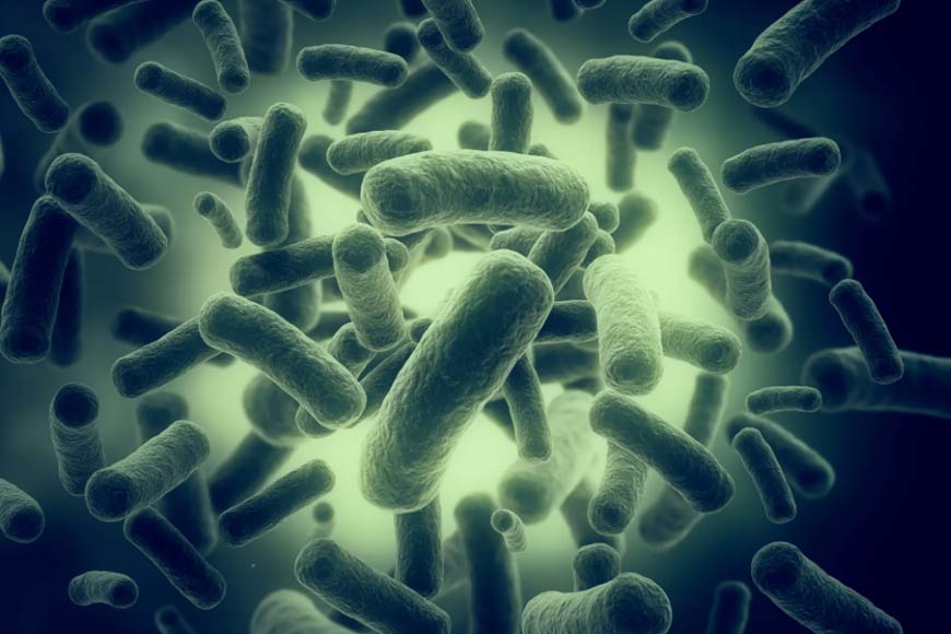 Bengali scientists nail down antibiotic-resistant ‘Superbugs’