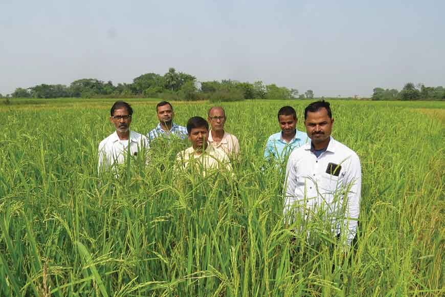 The flavour of purity and tradition