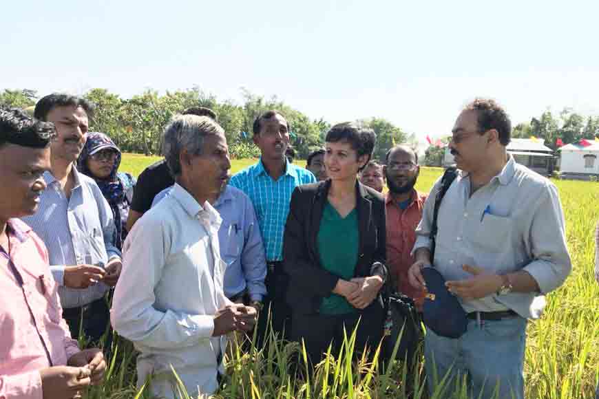 How a Bengal village turned fertile from fallow