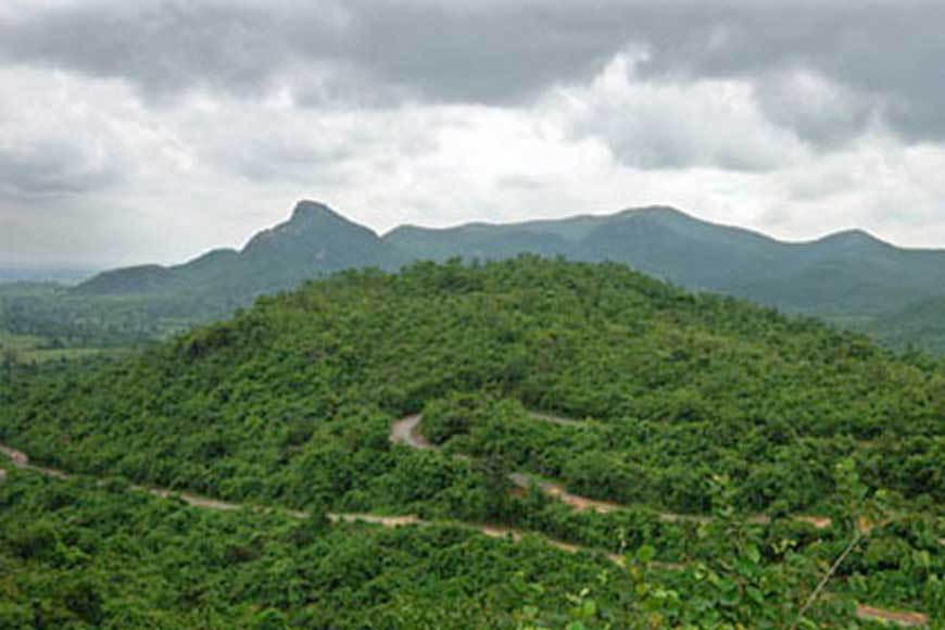Ayodhya Hills of Purulia soon to produce CTC tea