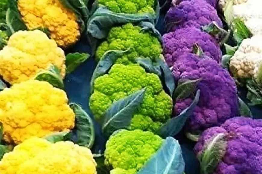 Bengal’s farmers cultivate high-nutrition laden Dutch cauliflowers