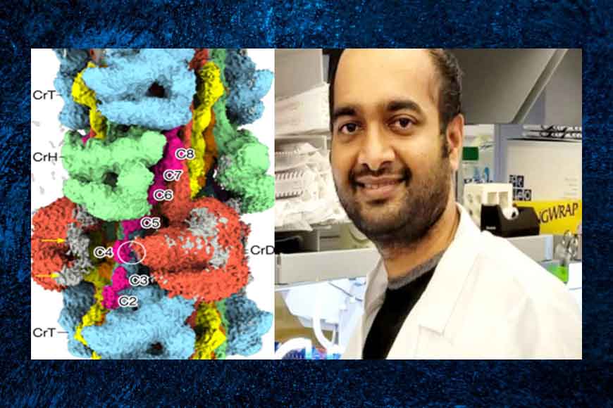 60-year-old mystery solved: Molecular model of heart discovered by Bengali scientist – GetBengal story