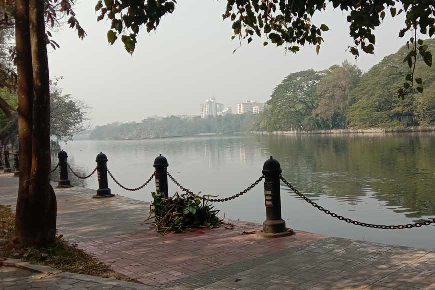 Rare Trees of Dhakuria Lake – Lungs of South Kolkata