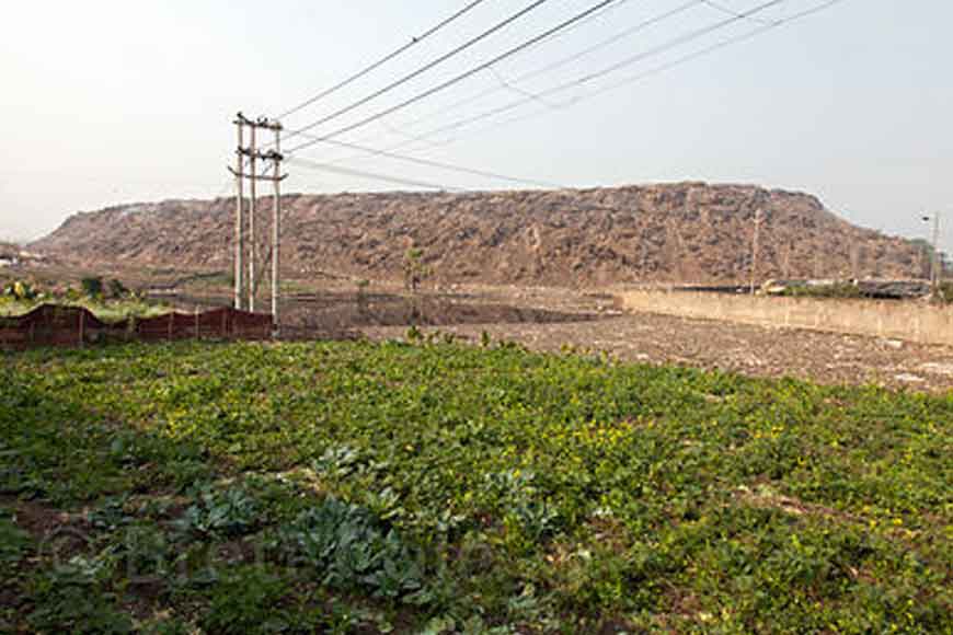 Dhapa dump yard to turn tourist destination