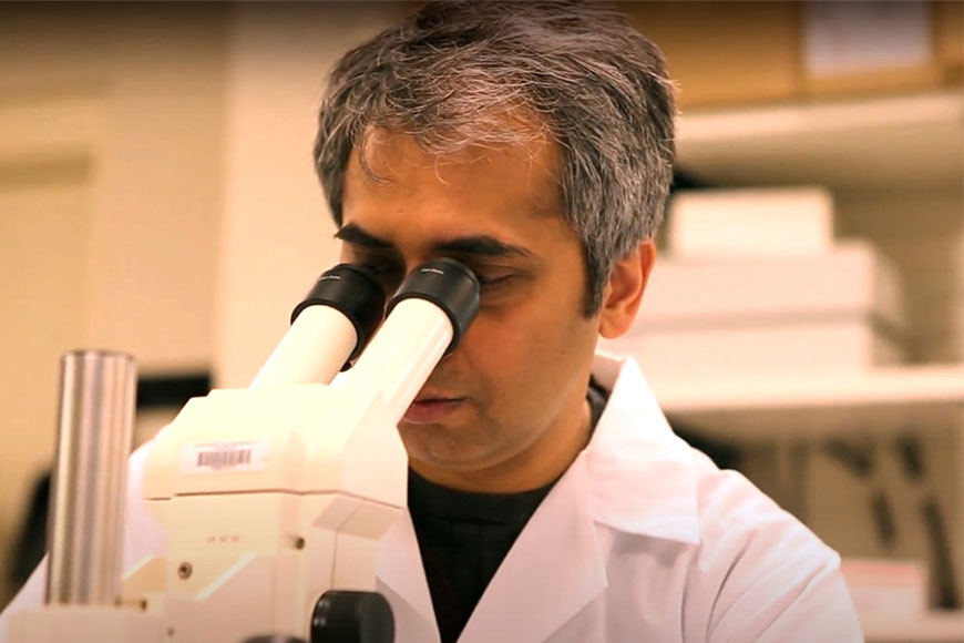 Bengali scientist Anindya Bagchi makes a breakthrough in treating deadly pancreatic cancer