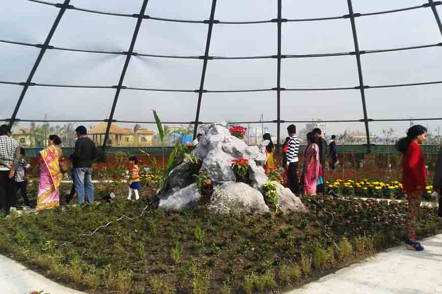 Kolkata’s Eco Park throws up biodiversity