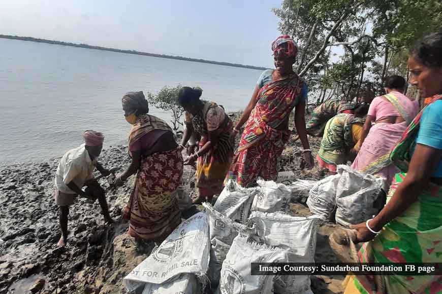 Sundarbans ecosystem restoration on World Environment Day