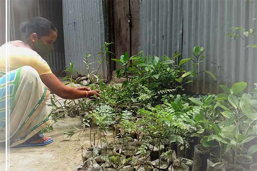 Turn your terrace into a herb garden, the Coochbehar way