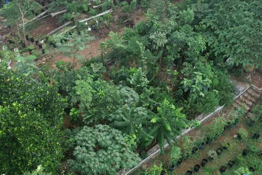 Howrah’s Green Revolution with first-of-its kind Japan’s Miyawaki forests