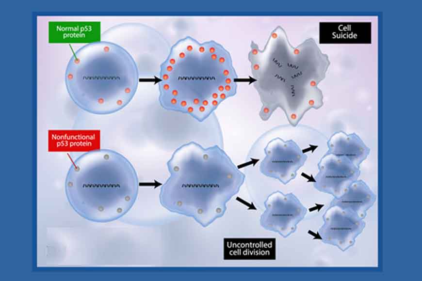 Kolkata boys get US invite for their cancer studies