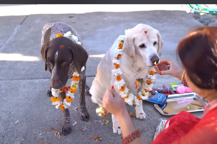 Kukur Tihar – celebrating the existence of man’s best friend - GetBengal story