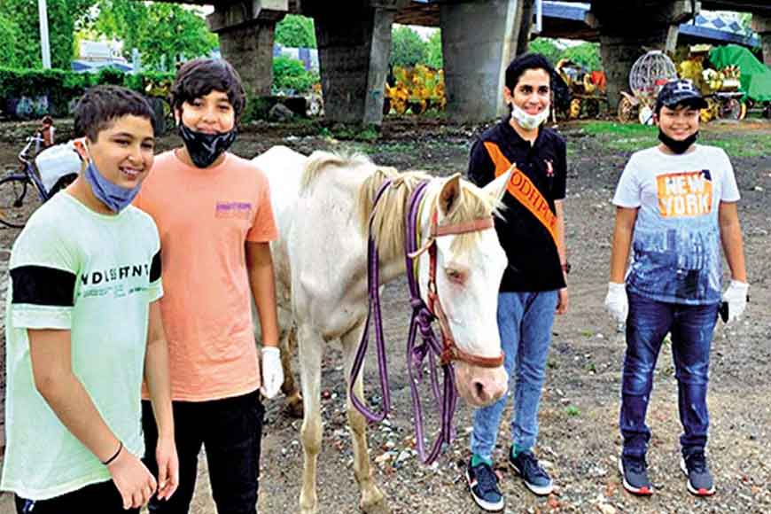 Students of La Martiniere raise funds to feed abandoned horses