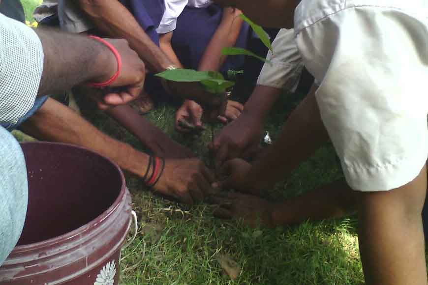 Bengal to lead mangrove forestation scheme nationwide to stall coastal erosion - GetBengal story