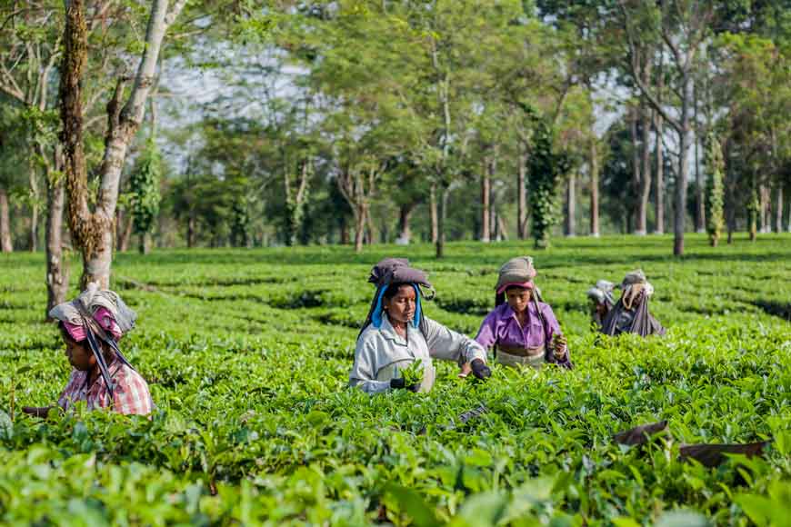 Jalpaiguri’s Maxima Toppo uses street plays to create Corona awareness for tea garden workers