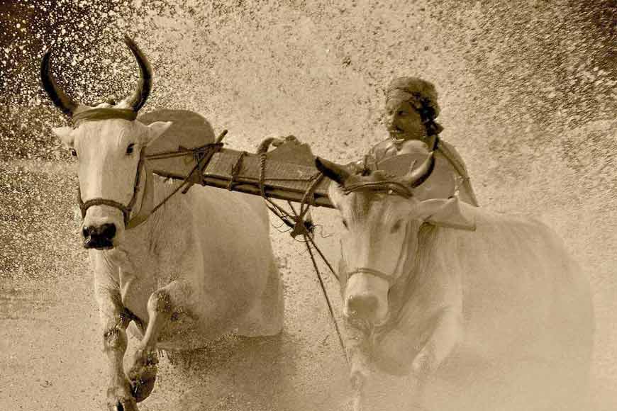 Moichhara, Bengal's very own fertility ritual