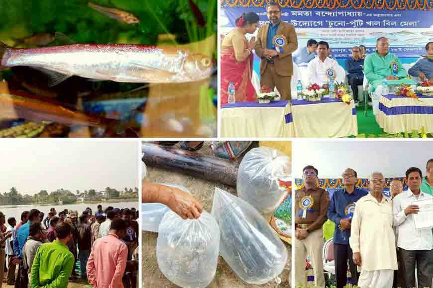 Murshidabad brings back indigenous fish varieties