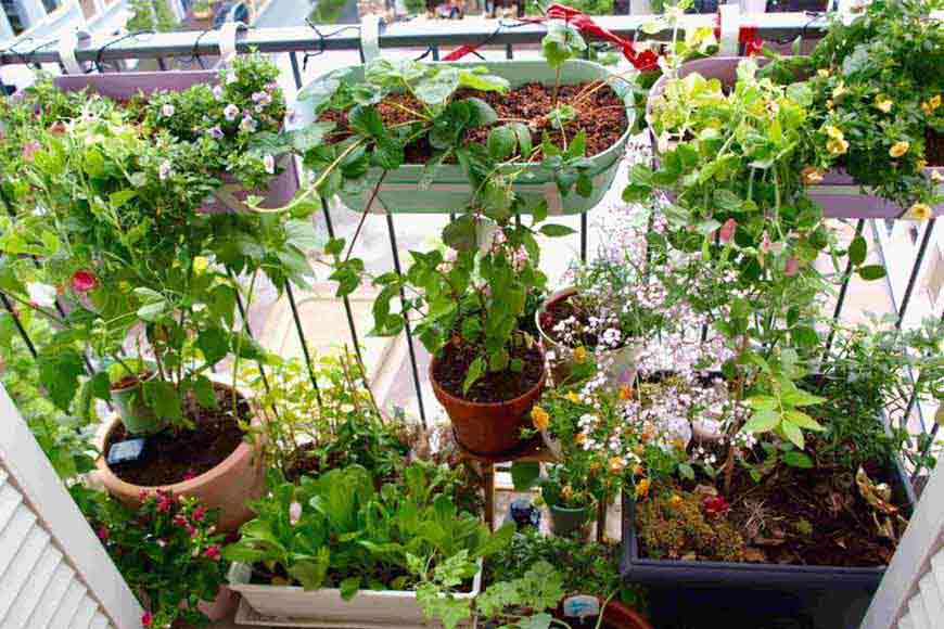 Bring ‘Nature’ within your home and conserve it in your way