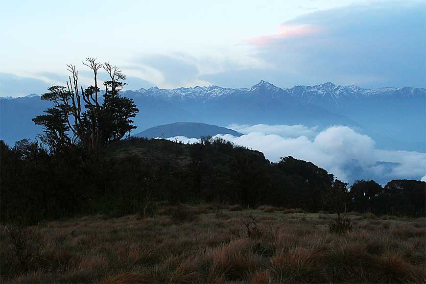 Neora Valley Trek