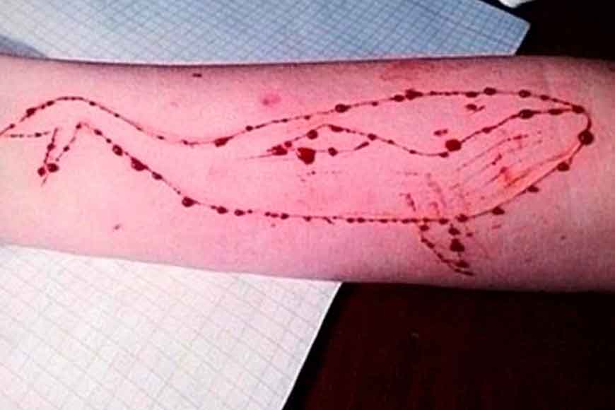 Blue Whale dare kills 14-year-old 