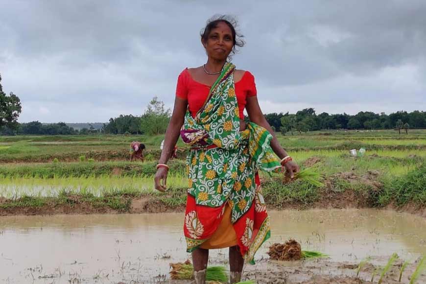 Indigenous paddy varieties by the women farmers of Bengal