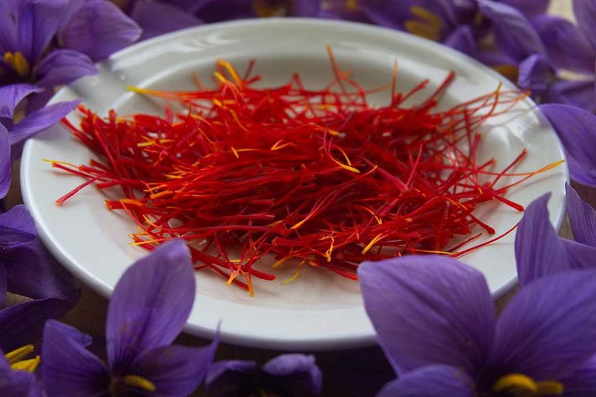 Darjeeling Hills set to be the new ‘Saffron’ cultivation hub