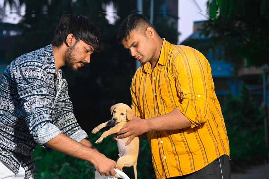 Rajdeep Mahant and Lisa Dutta become messiahs for stray dogs - GetBengal story