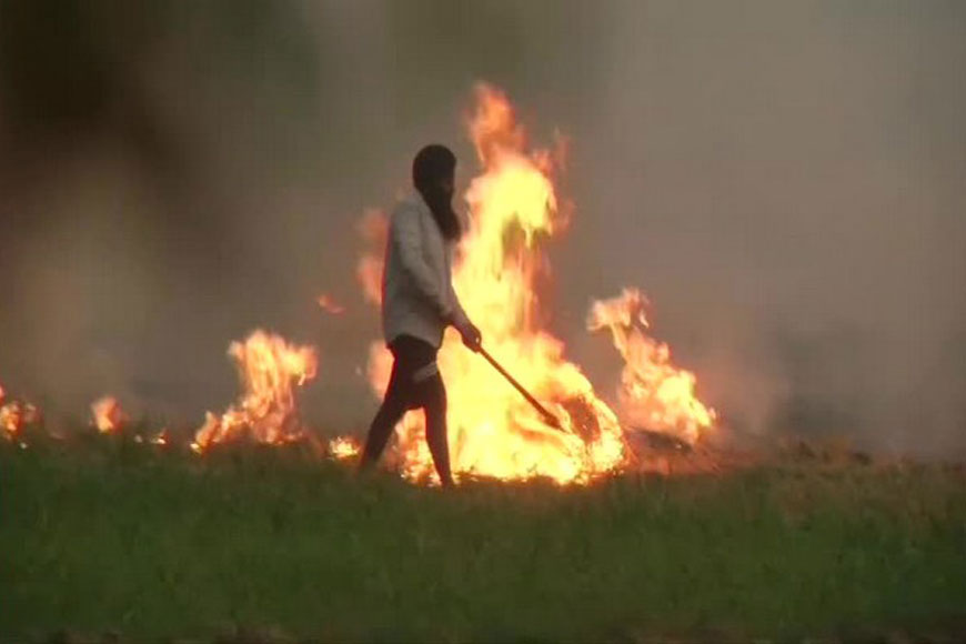 Tackling the stubble burning menace