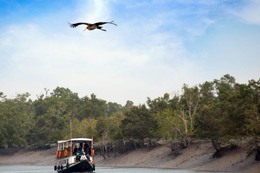 A magical cruise through the Sunderbans