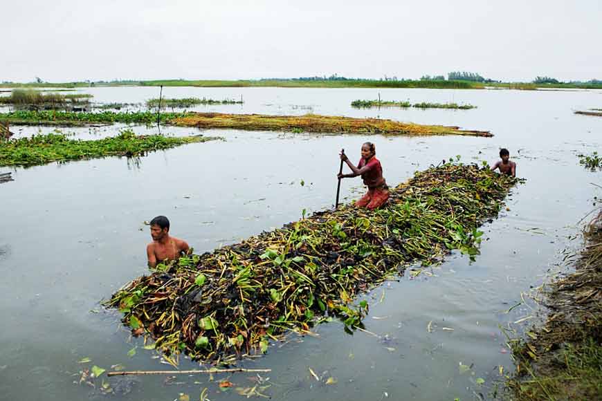 Sundarbans farmers turn to floating farms to counter cyclone crisis | UPSC