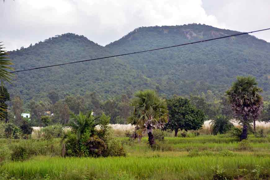 Seed bombs to rescue the lost greenery of the famous Susunia Hills - GetBengal story