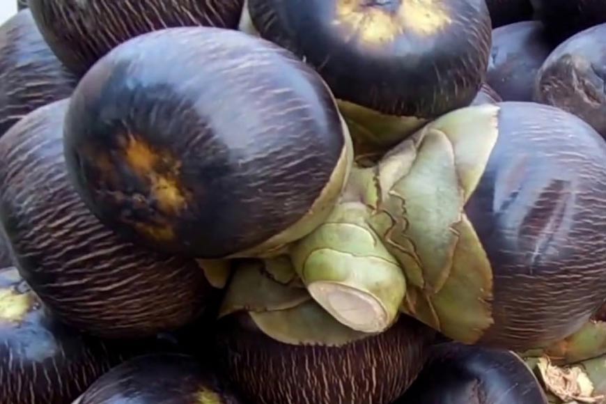 Savoury Taal-made dishes to sweeten up your Janmasthami celebrations - GetBengal story