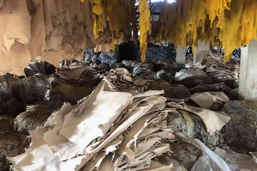 Where have Tangra’s Chinese Tanneries gone?