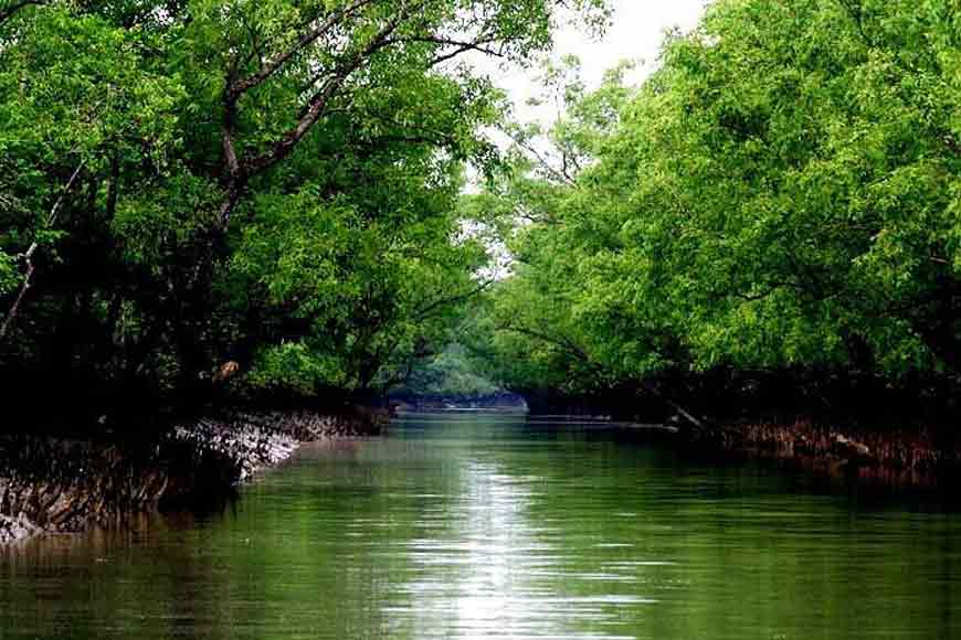 Upcoming Symposium focusing on ‘The Lives of Sundarbans’ - GetBengal story
