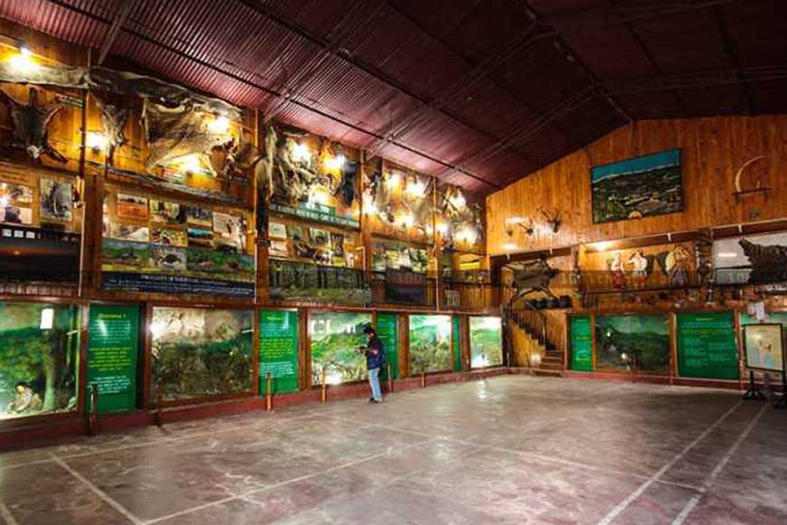 For art enthusiasts, Lepcha Museum of Kalimpong is a must visit