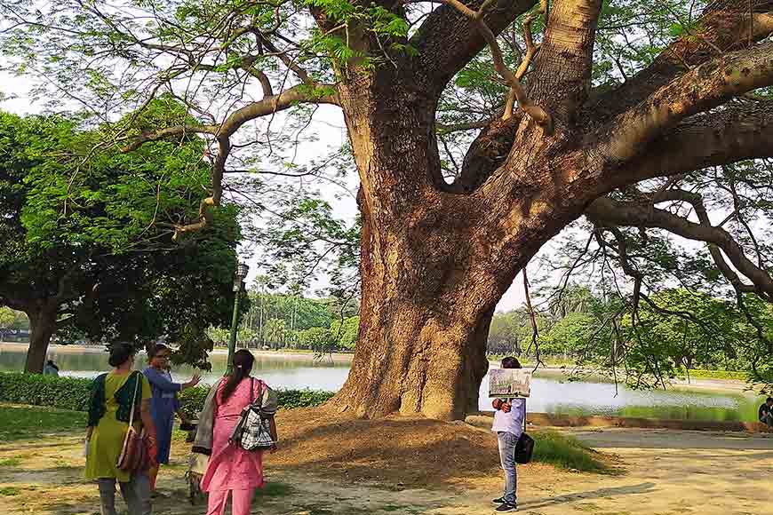 Tree Walk in the Victoria Memorial Grounds: Would you like to join?