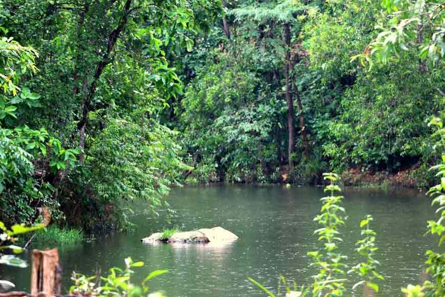 Bankura, not the land of history, but a wildlife paradise - GetBengal story