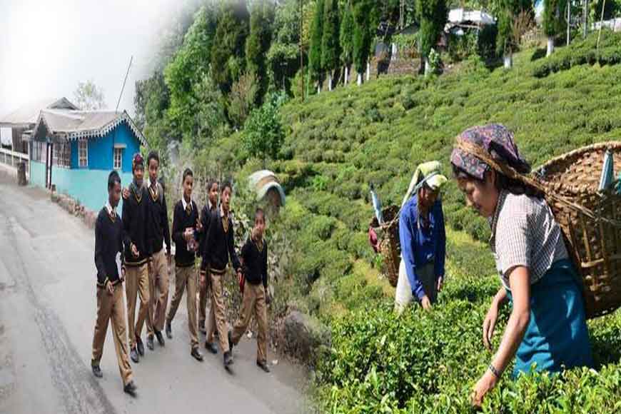 Students leave schools, tea-workers join gardens