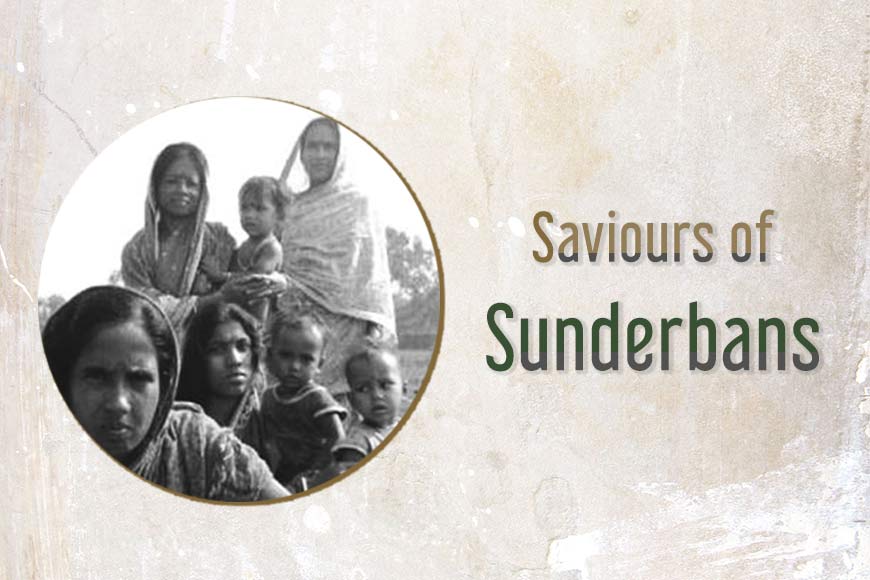 Unique afforestation drive – Sundarbans’ women get paid to nurture saplings