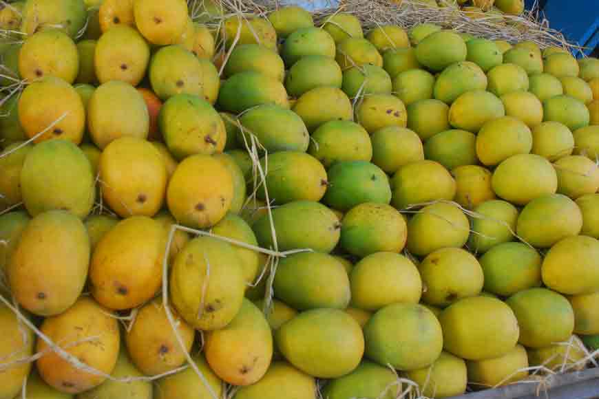Bengal’s love for historical mango varieties