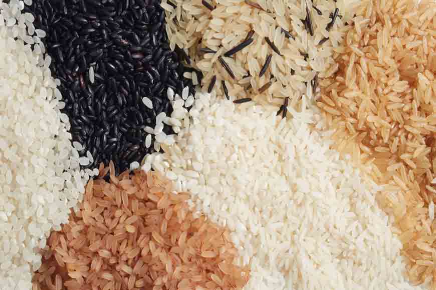 Lost varieties of paddy of Bengal being revived