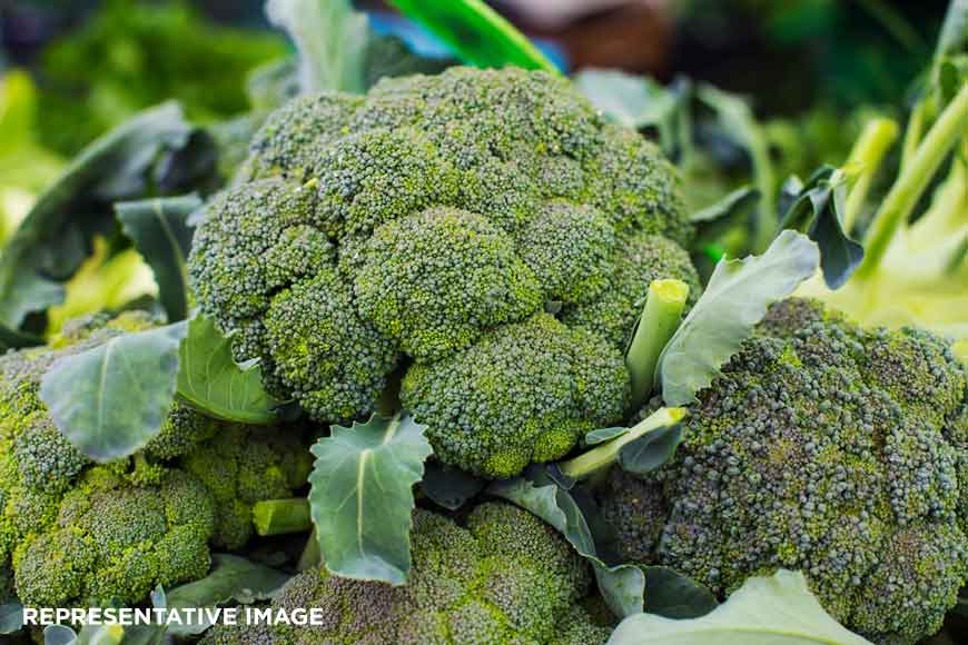 Bengal farmers preferring broccoli over cauliflower! Why this sudden green surge?