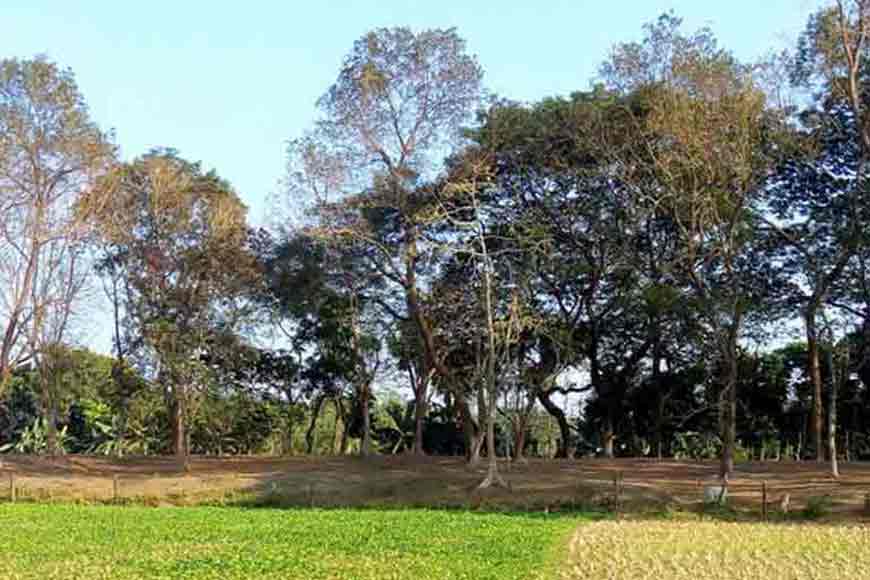 The ‘pigeon’ who flew in to topple Chandraketugarh