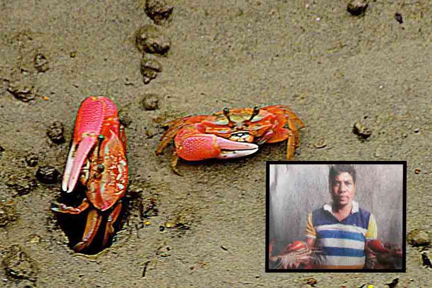 ‘Crab Man of Sundarbans’ is GB Inspiration of this week 