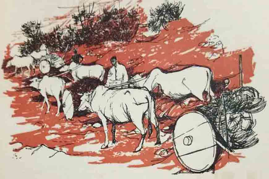 The Darjeeling Mail was run by bullocks!