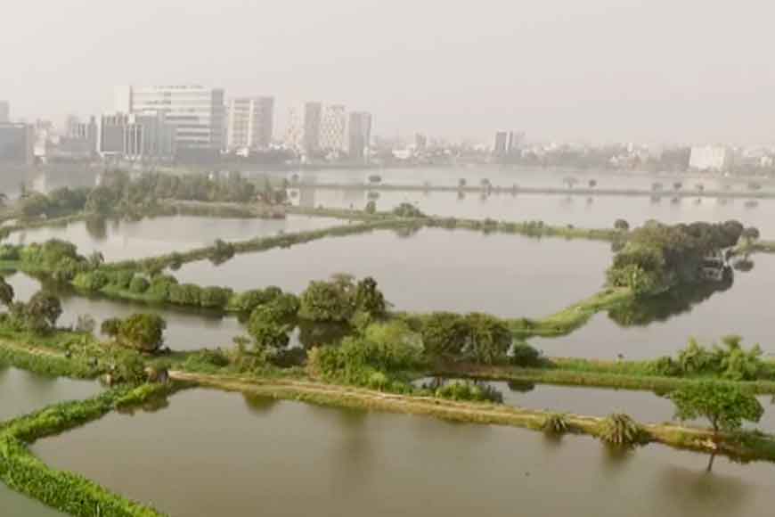 On World Wetlands Day let’s look at the wetlands of Kolkata